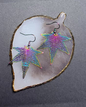 Load image into Gallery viewer, Rainbow Earrings