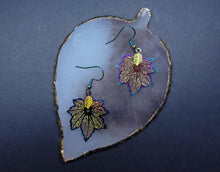 Load image into Gallery viewer, Rainbow Earrings