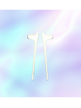 Load image into Gallery viewer, Snack Chops